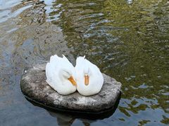 -新江湾城公园