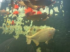 -弘安丽水温泉酒店