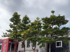 -天后宫岭南民俗文化街