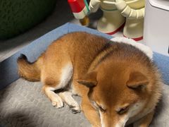 -博纳私人订制健身(中集美兰湖店)