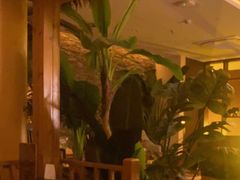 -泰迦·正宗泰式按摩SPA(东城店)