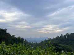 -火炉山森林公园