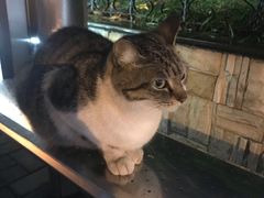-FEELINGME乐刻包月私教馆·健身(澳门路店)