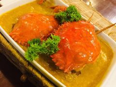 -茉莉.Red Crab