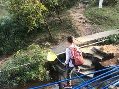 -火炉山森林公园