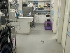 -中农国际动物医院24小时·猫科·骨科·急重症中心