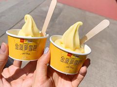 -麦当劳(新王府井店)