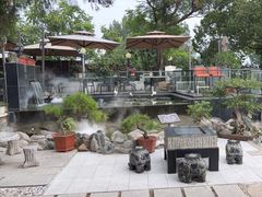 -蘇河湾·新鲁菜·泰山宴(泰山店)
