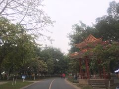 -松山湖南湖湾露营营地