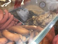 -老杨家熟食店