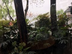 -COSTA COFFEE(西湖天地店)