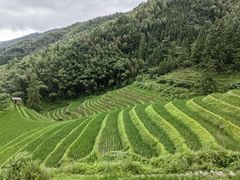 -龙脊梯田