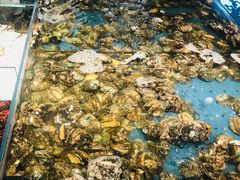 鲍鱼-钱库里海鲜自助(星海广场店)
