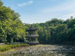 -福神岗公园