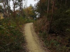 -青龙山国家森林公园