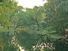 -共青国家森林公园-售票处