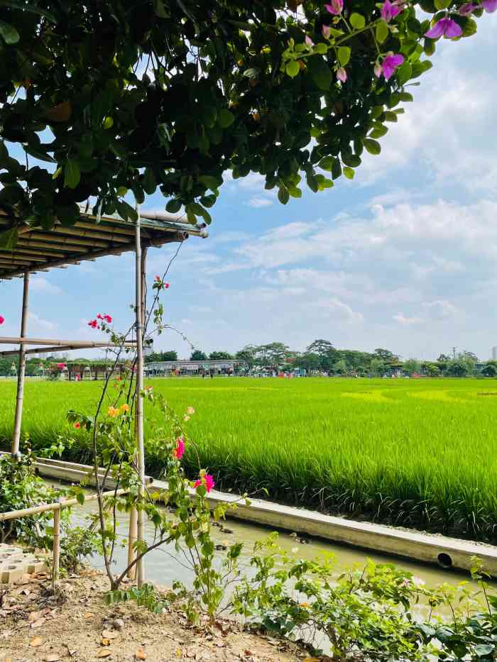 古梅生态农业园-"附近有珠江万科城,打卡只能是古梅生态农业.