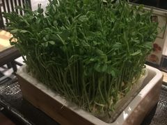 -捞王锅物料理(四川北路店)