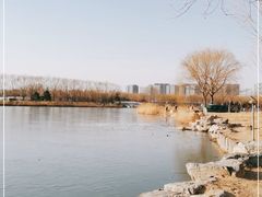-大兴滨河森林公园