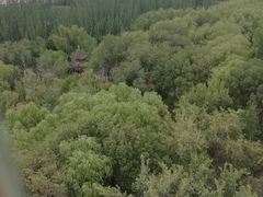 -青城公园