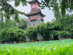 -四川大学(望江校区)