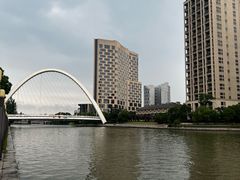-陈家山荷花公园