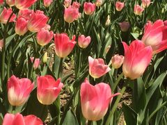 -长春公园(普阳街道)