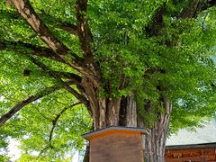 -医王山·飞騨国分寺