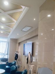 -碧莲盛·不剃发植发