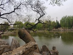 -莲池书院博物馆