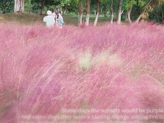 -艾溪湖湿地公园