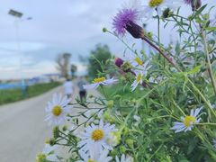 -西西弗书店&矢量咖啡(凯德晶萃广场店)