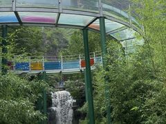 -十渡东湖港风景区