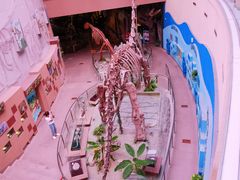 -陕西自然博物馆