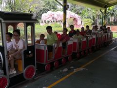 -美的鹭湖探索王国