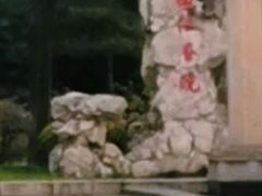 -曲江春晓苑