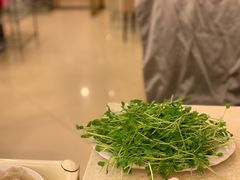 -八先生涮肉房(三里河店)