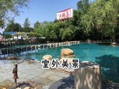 -大鹅岛绿色生态美食园