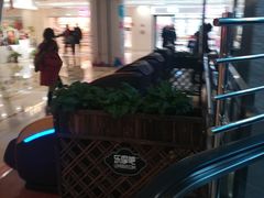 -鹏欣水游城