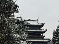 -迎泽公园
