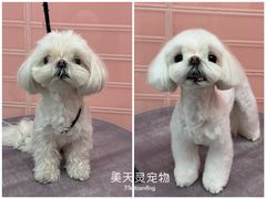 -FAELING PETS美天灵宠物(合生汇店)