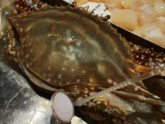 -浩运·海鲜青岛菜·海胆水饺(石老人店)