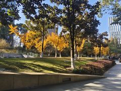 -星巴克(古美路店)