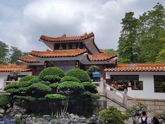 -深圳仙湖植物园