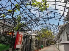 -大海别墅民宿农家院(十渡店)