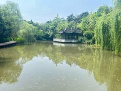 -扬州市茱萸湾风景区