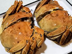 -呼吸森林·生态农庄农家乐私房菜