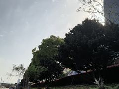 -南昌之星游乐场