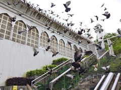 -九龙公园