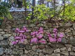 -大芦花风景区